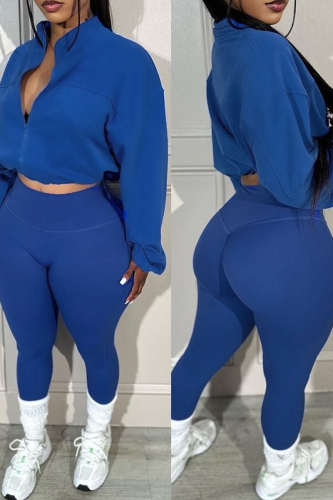 Blue Casual Solid Patchwork Zipper O Neck Long Sleeve Two Pieces