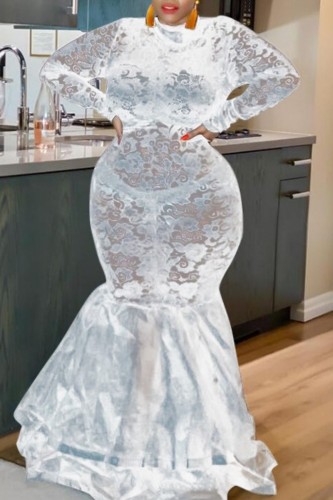 White Sexy Solid See-through Half A Turtleneck Long Sleeve Plus Size Dresses