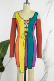Multicolor Casual Patchwork Frenulum Contrast U Neck Long Sleeve Dresses