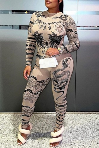 Skin Color Casual Print Basic O Neck Long Sleeve Two Pieces