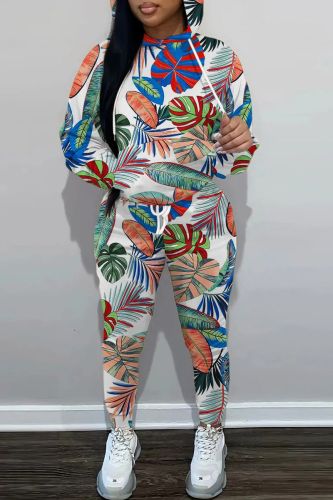 Multicolor Casual Print Basic Hooded Collar Long Sleeve Two Pieces