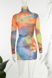 Colour Casual Print Basic Turtleneck Long Sleeve Dresses