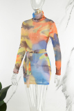 Colour Casual Print Basic Turtleneck Long Sleeve Dresses