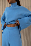 Casual Solid Asymmetrical Turtleneck Long Sleeve Two Pieces