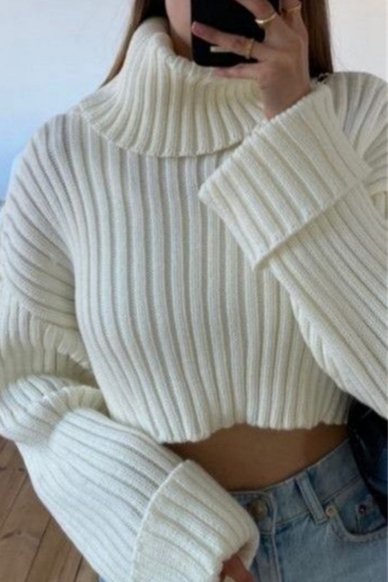 Daily Simplicity Solid Turtleneck Tops