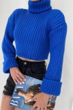 Casual Solid Basic Turtleneck Tops