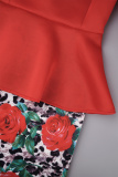 Elegant Print Patchwork Appliques Hot Drill Asymmetrical Collar Printed Dress Dresses(No Belt)