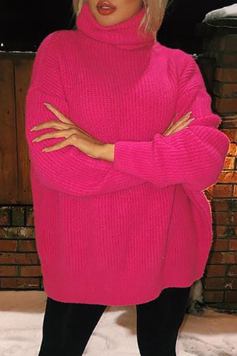Casual Solid Basic Turtleneck Tops