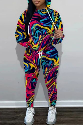 Casual Print Basic Hooded Collar Long Sleeve Two Pieces