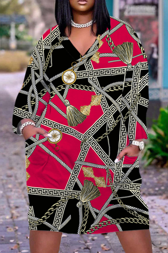 Casual Print Basic V Neck Long Sleeve Dresses