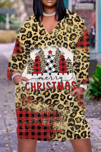 Casual Print Basic V Neck Long Sleeve Dresses