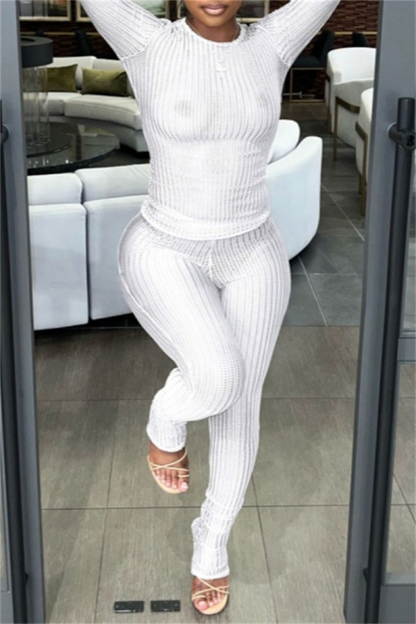 Sexy Casual Solid See-through O Neck Long Sleeve Two Pieces