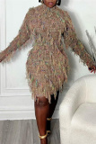 Casual Patchwork See-through Turtleneck Long Sleeve Dresses