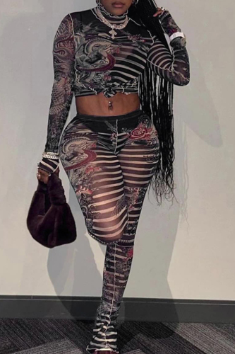 Sexy Print Patchwork O Neck Long Sleeve Two Pieces