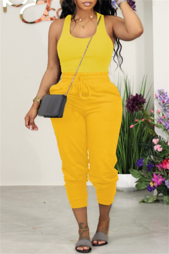 Sexy Casual Solid Basic U Neck Sleeveless Two Pieces