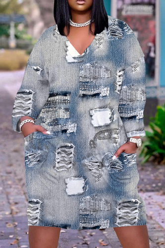 Casual Print Basic V Neck Long Sleeve Dresses