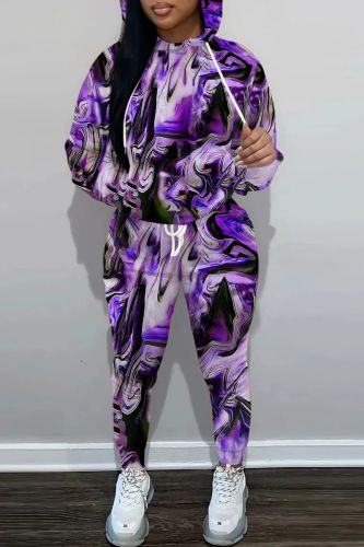 Casual Print Basic Hooded Collar Long Sleeve Two Pieces