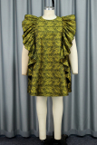 Casual Print Patchwork O Neck Plus Size Sleeveless Dress