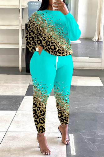 Casual Print Basic O Neck Long Sleeve Two Pieces