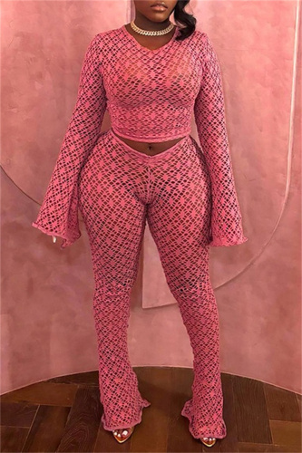 Sexy Casual Solid See-through O Neck Long Sleeve Two Pieces