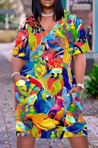 Plus Size Rainbow Colorblock V Neck Short Sleeve T-shirt Dresses