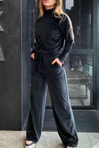 Casual Solid Basic Turtleneck Long Sleeve Two Pieces