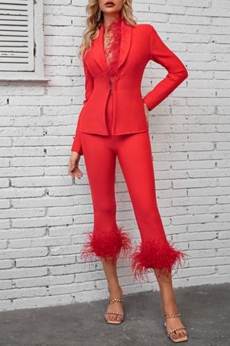 Casual Solid Patchwork Feathers Turndown Collar Long Sleeve Two Pieces