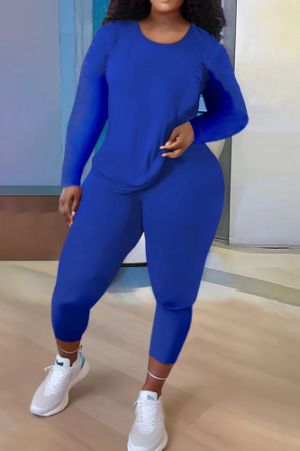 Casual Solid Basic O Neck Plus Size Two Pieces