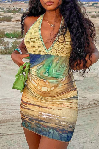 Sexy Print Patchwork Backless Halter Sleeveless Dress Dresses