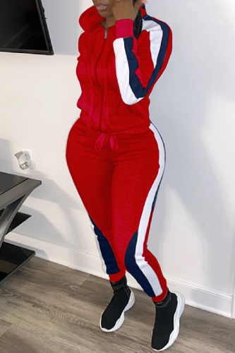 Casual Patchwork Contrast Hooded Collar Long Sleeve Two Pieces