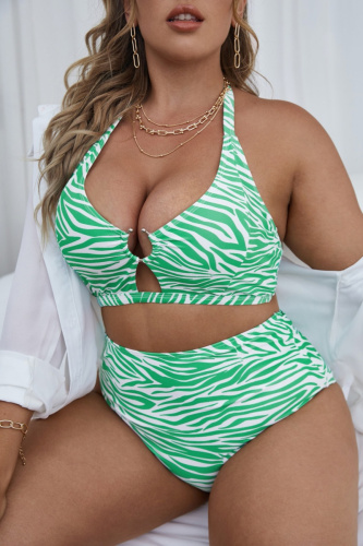 Casual Print Bandage Hollowed Out Backless Halter Plus Size Swimwear (With Paddings)