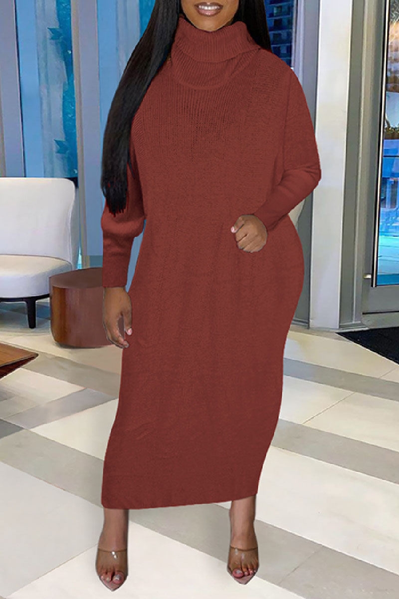 Turtleneck Semi-Sheer Slim Long Dress Without Belt