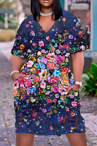 Casual Print Basic V Neck Short Sleeve Dress