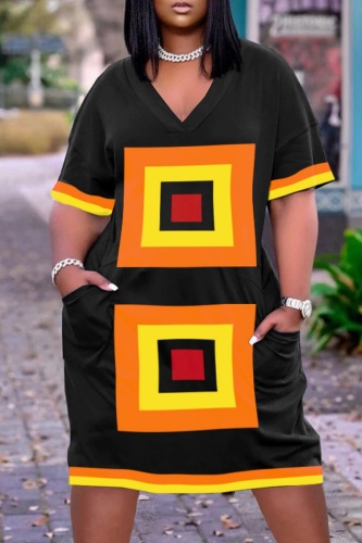 Casual Print Basic V Neck Long Sleeve Short Sleeve Dress