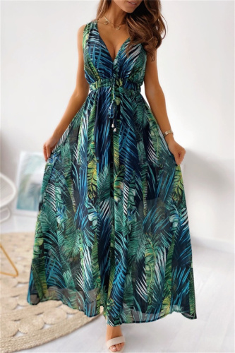 Casual Print Frenulum Backless V Neck Long Dress Dresses