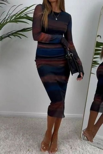 Casual Print Basic O Neck Long Sleeve Dresses