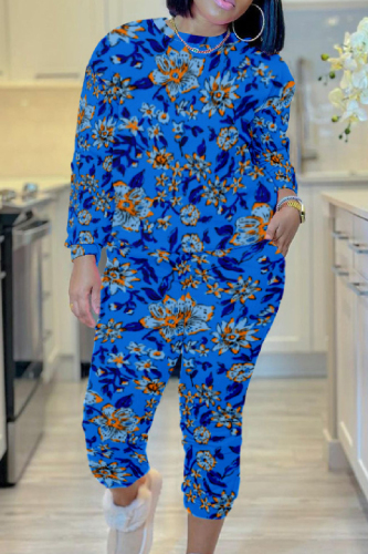 Casual Print Basic O Neck Long Sleeve Two Pieces