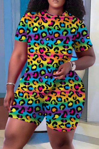 Casual Print Leopard Basic O Neck Short Sleeve Two Pieces