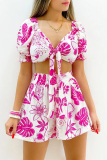 Floral Print V Neck Knotted Crop Top and Shorts Casual Vacation Two Piece Shorts Set