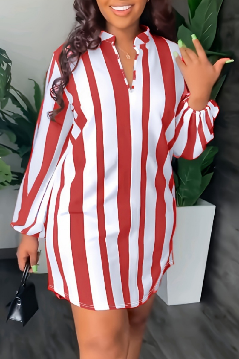Casual Print Basic V Neck Long Sleeve Dresses