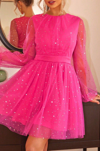 Celebrities Elegant Print The stars Mesh O Neck Princess Dresses