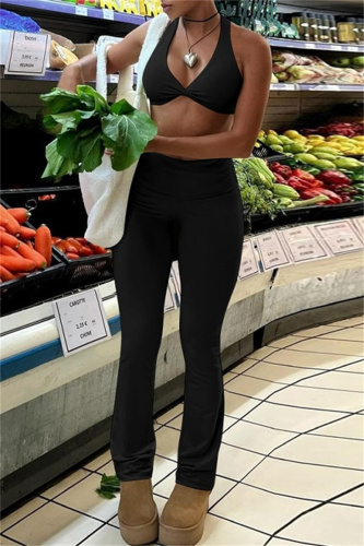 Sexy Casual Solid Backless Spaghetti Strap Sleeveless Two Pieces