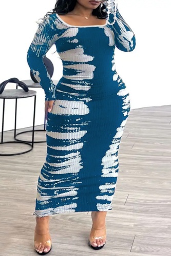 Casual Print Basic O Neck Long Sleeve Plus Size Dresses