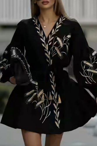 Casual Embroidery Patchwork V Neck Long Sleeve Dresses