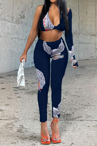 Sexy Print Frenulum Backless V Neck Long Sleeve Two Pieces