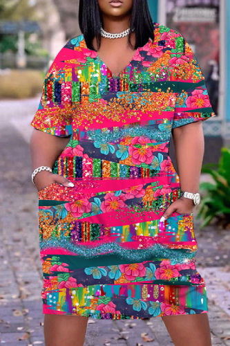 Casual Print Basic V Neck Short Sleeve Short Sleeve Dress