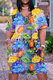 Casual Print Basic V Neck Short Sleeve Short Sleeve Dress