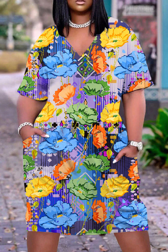 Casual Print Basic V Neck Short Sleeve Short Sleeve Dress
