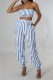 Sexy Casual Striped Print Backless Strapless Sleeveless Two Pieces