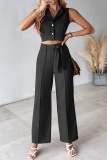 Casual Daily Solid Frenulum Turndown Collar Sleeveless Two Pieces